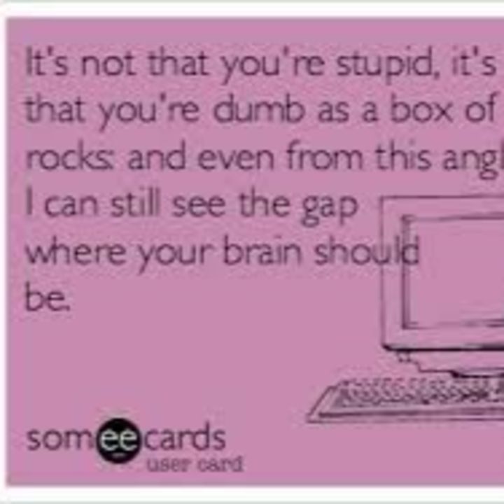 Life is Like a Box of Stupid