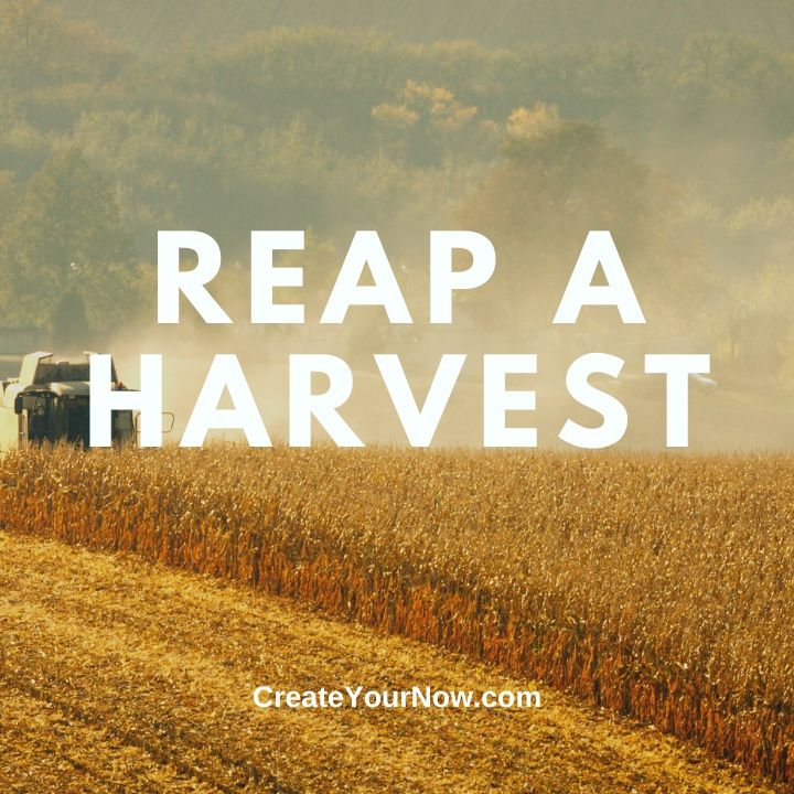 3157 Reap A Harvest