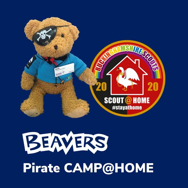 Beavers Pirate CAMP@HOME