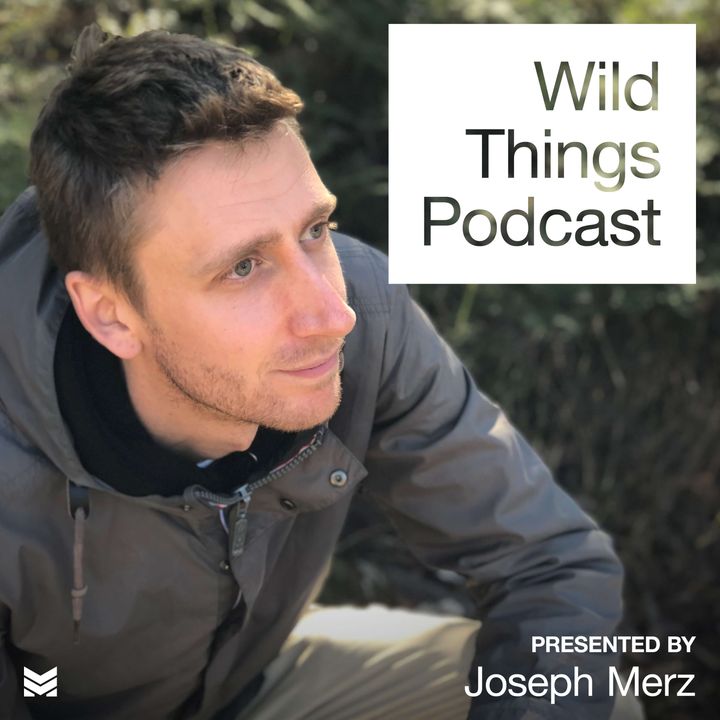 Wild Things Podcast