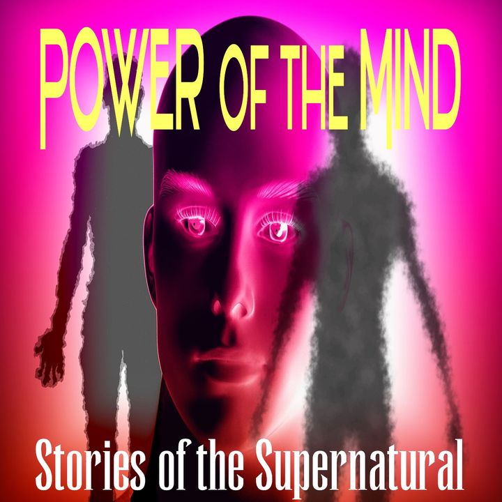 Power of the Mind | Interview with David Schwerin Ph.D. | Podcast