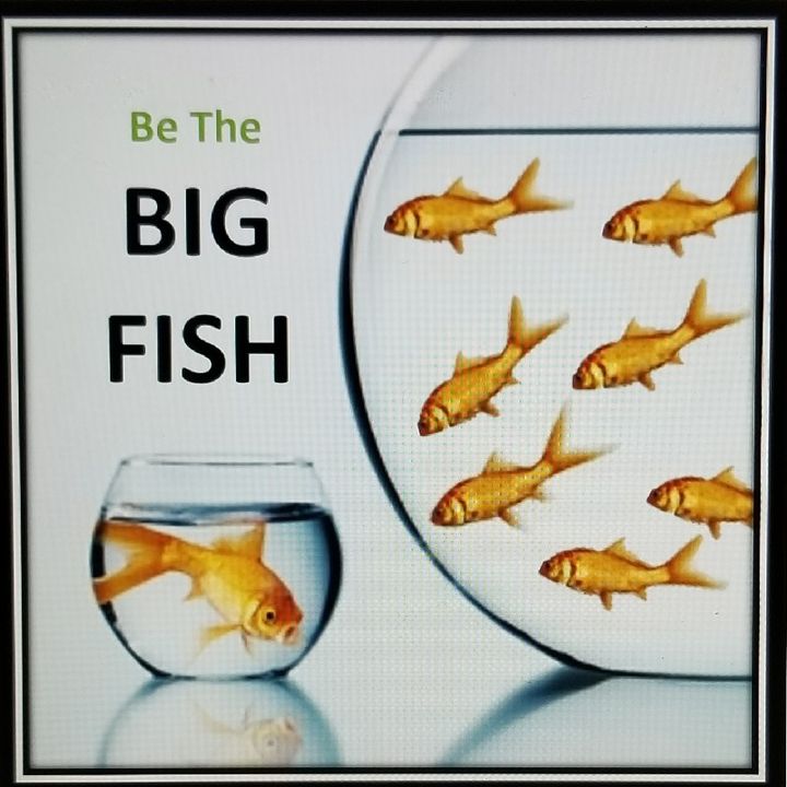 Episode 6 - The Big Fish - FactorCareers Live!