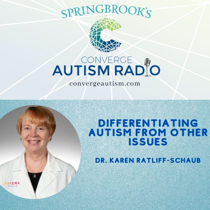 Differentiating Autism From Other Issues