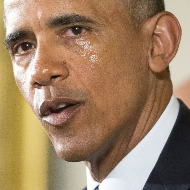 President Obama's Executive Orders on Guns