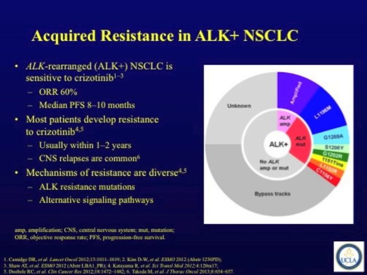 ASCO Lung Cancer Highlights, Part 10: Strategies After Resistance to Crizotinib in ALK-Positive Advanced NSCLC (video)