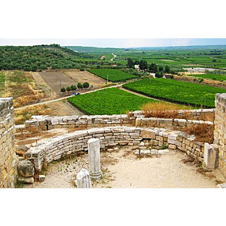 La necropoli di Canne della Battaglia (Puglia)