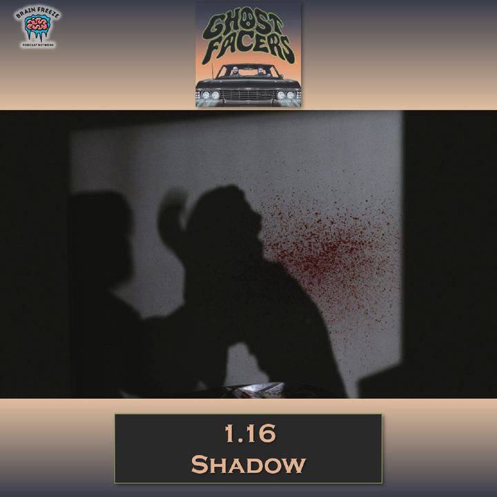 1.16: Shadow