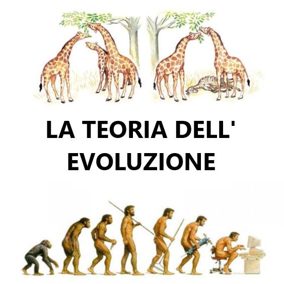 017 La teoria dell'evoluzione