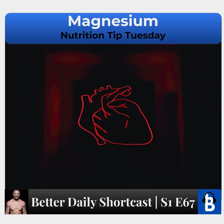 S1 E67 - Magnesium | Body
