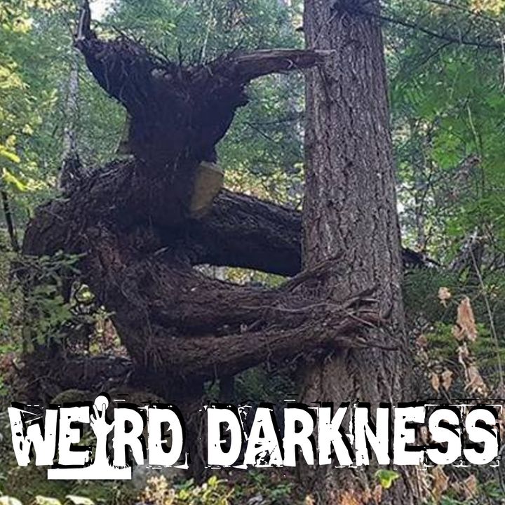 “THE DAEMON WOOD” BY ROB FUNKHOUSER #WeirdDarkness