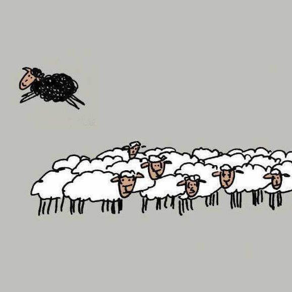 Lunga vita alle pecore nere