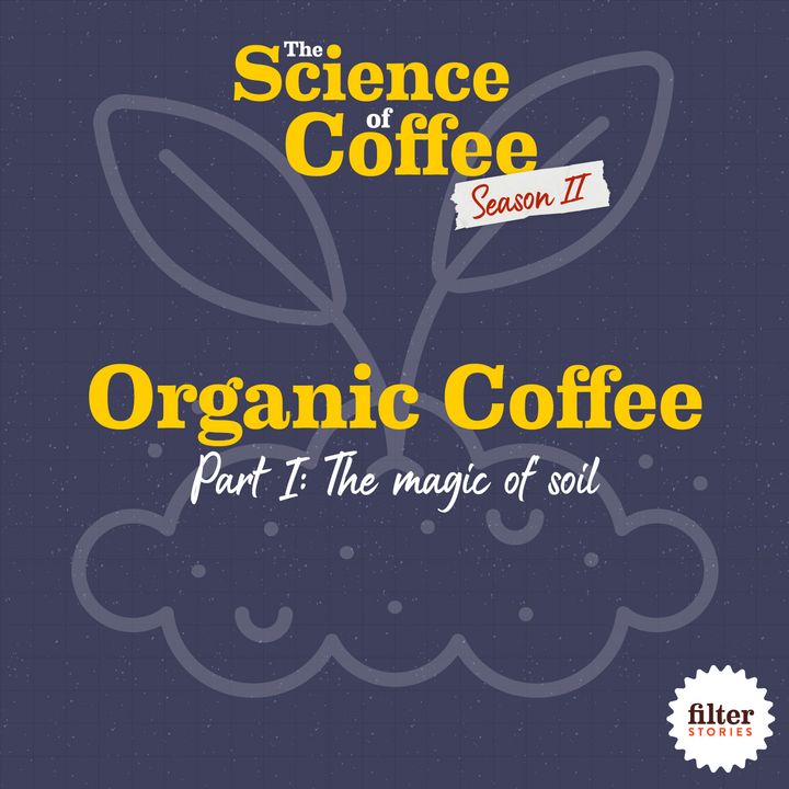 Organic Coffee, Part 1: The magic of soil