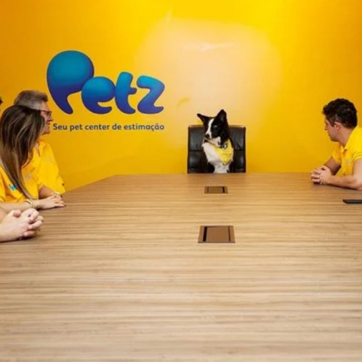 Petz (PETZ3) tem lucro líquido de R$ 26,6 milhões no 3T21, alta de 56%