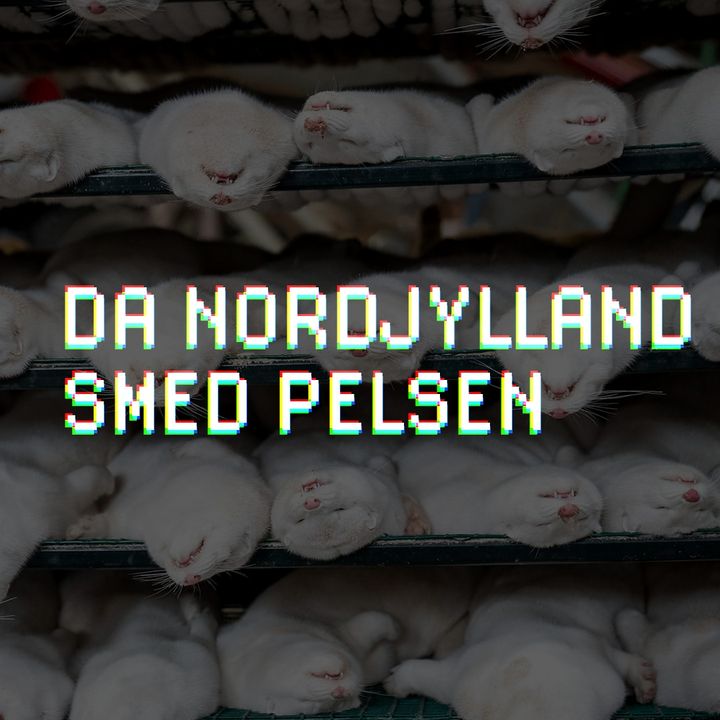 Da Nordjylland smed pelsen