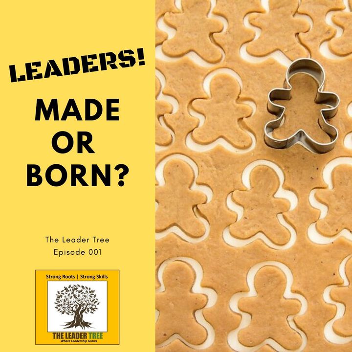 Episode 001-Are Leaders Made or Born - The Leader Tree