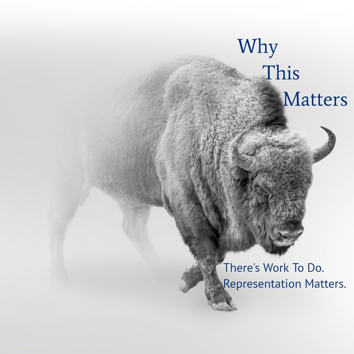 Why This Matters Podcast