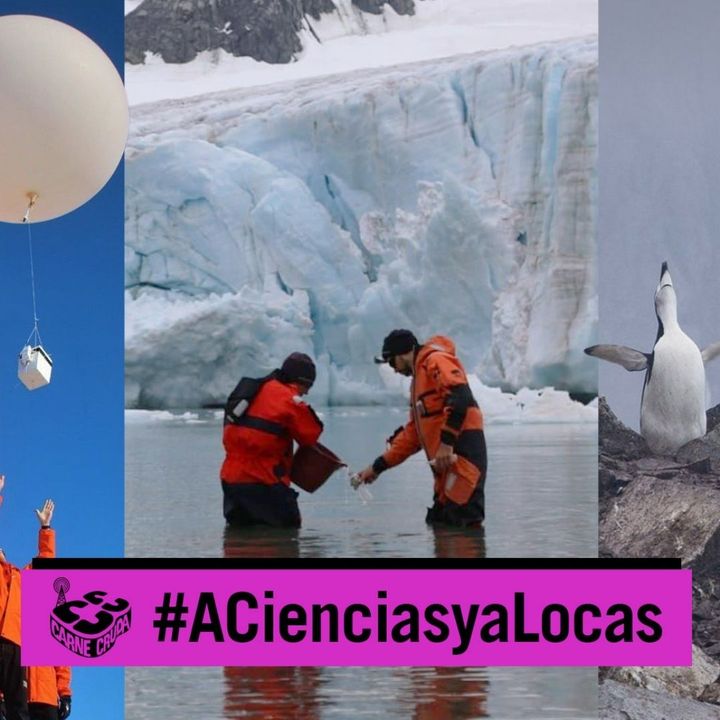 Antártida: viaje a los confines (A CIENCIAS Y A LOCAS - CARNE CRUDA #947)