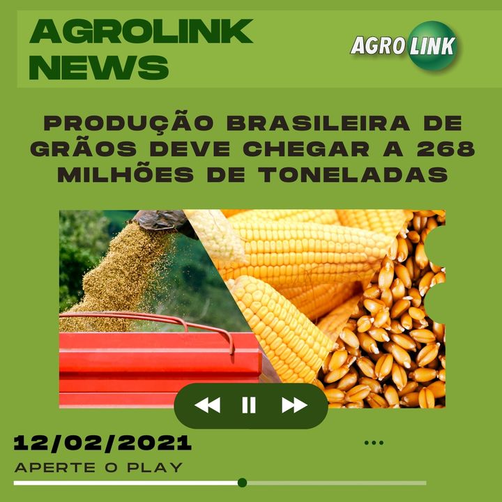 Agrolink News - Destaques do dia 12 de fevereiro