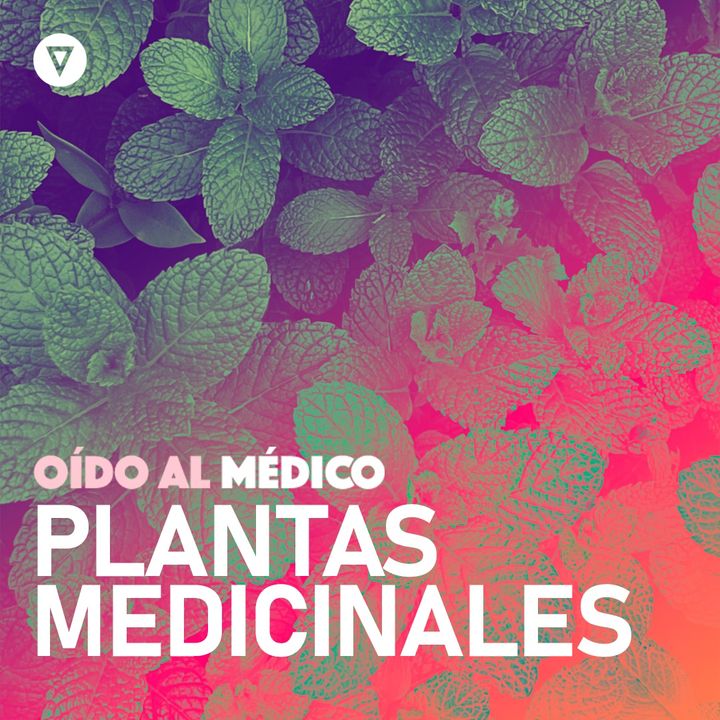 T3 - Capítulo 29: Mitos y verdades sobre el uso de plantas medicinales