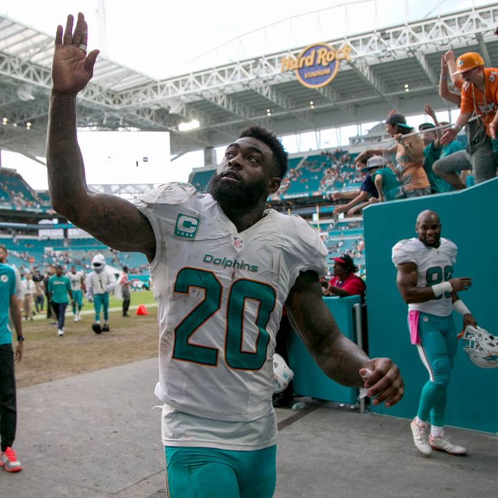 DT Daily: Reshad Jones, Kalen Ballage, and more