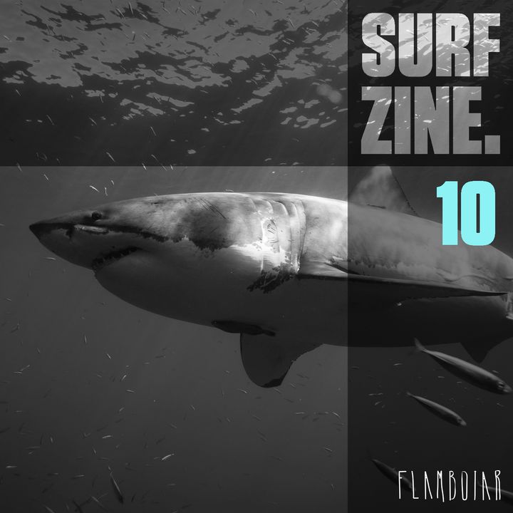 10 - Ataque de tubarão, afogamentos no surf e outras notícias da semana