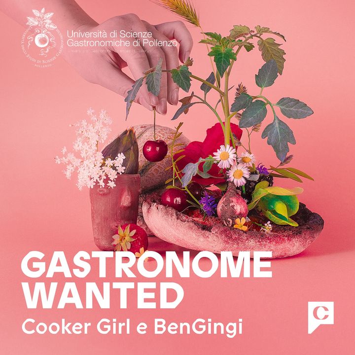 Gastronome Wanted