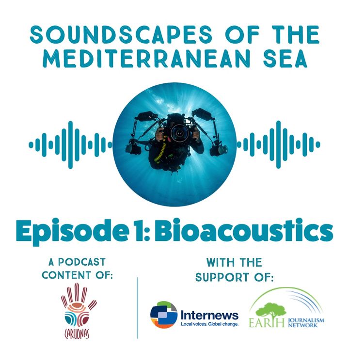 Soundscapes of the Mediterranean Sea. Episode 1: Bioacoustics