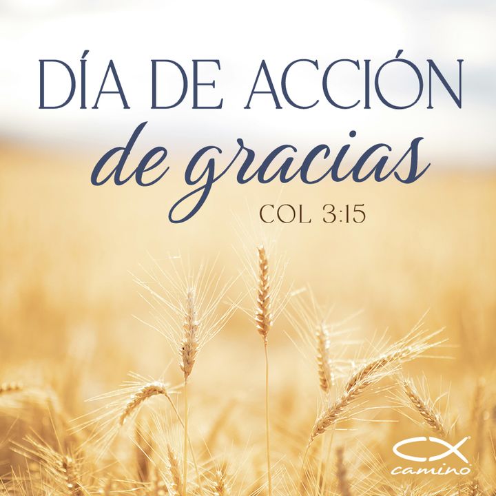 Oración 23 de noviembre (Día de acción de gracias)