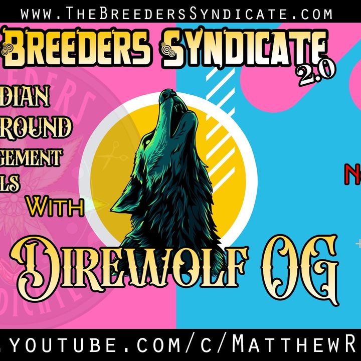 Breeders Syndicate 2.0 - Direwolf OG - Canadian Classics, Autoflowers, Haze & IPM S05 E13