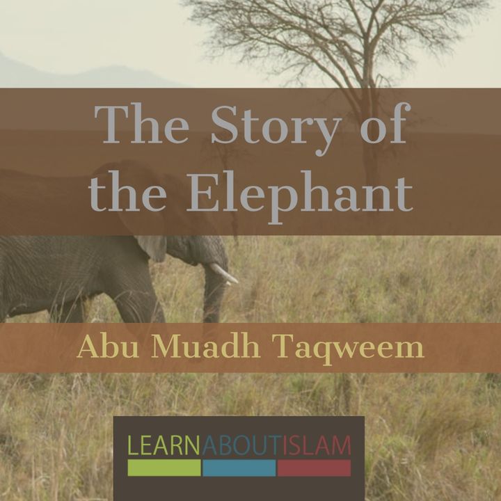 The Story of the Elephant - Abu Muadh