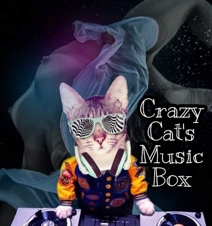 Crazy Cat's Music Box
