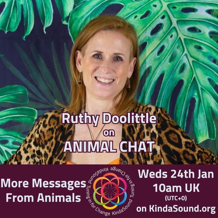 Messages from the Animal Kingdom | Animal Chat with Ruthy Doolittle