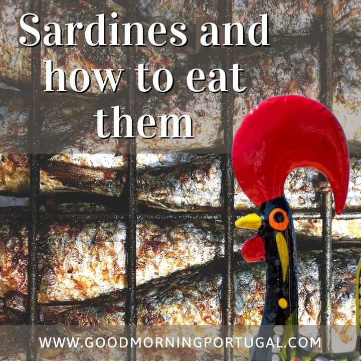 Portugal news, weather and how to eat sardines!
