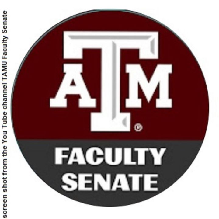 Texas A&M Law Professor Named MacArthur Fellow - Texas A&M Today