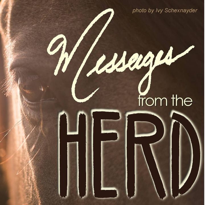 Meet The Herd Part 2