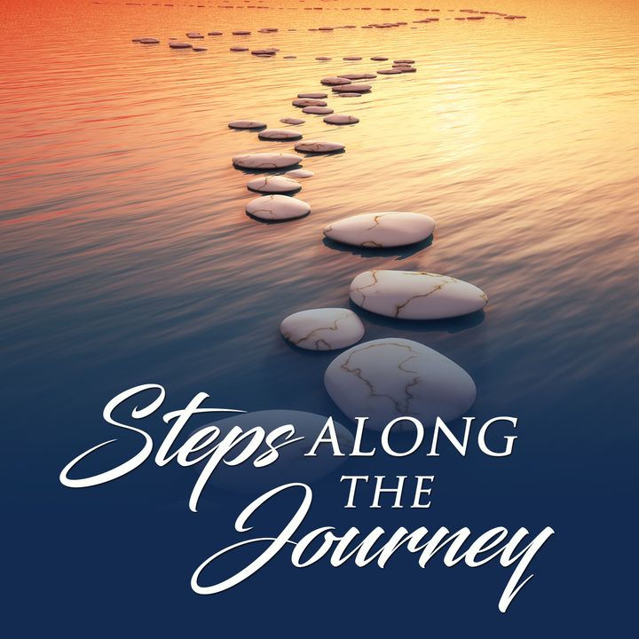Steps along the journey's show