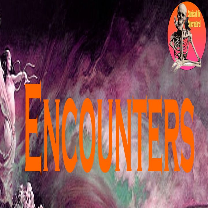 Encounters | Interview with Heidi Popp | Podcast