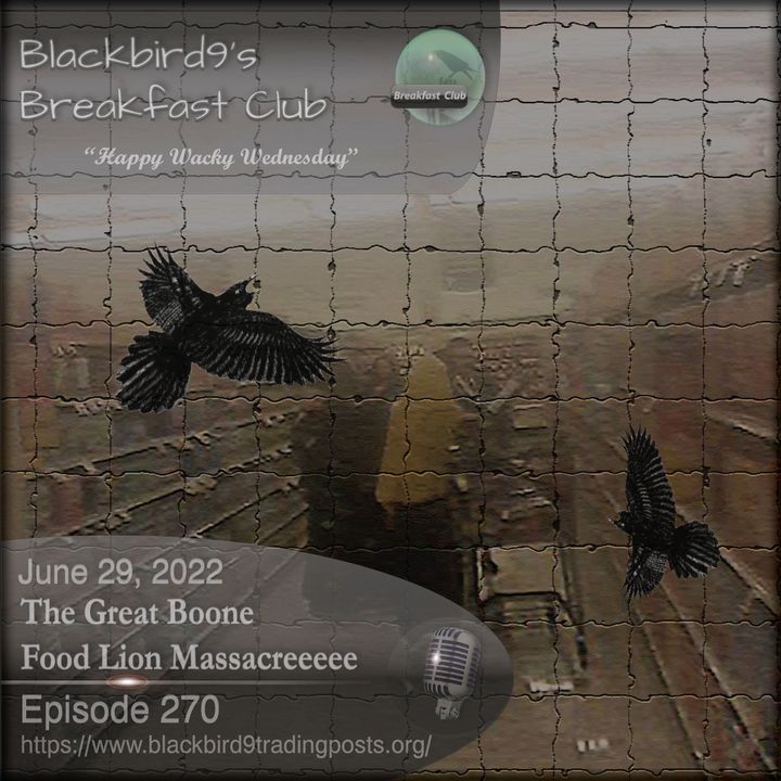 The Great Boone Food Lion Masacreeeee - Blackbird9 Podcast