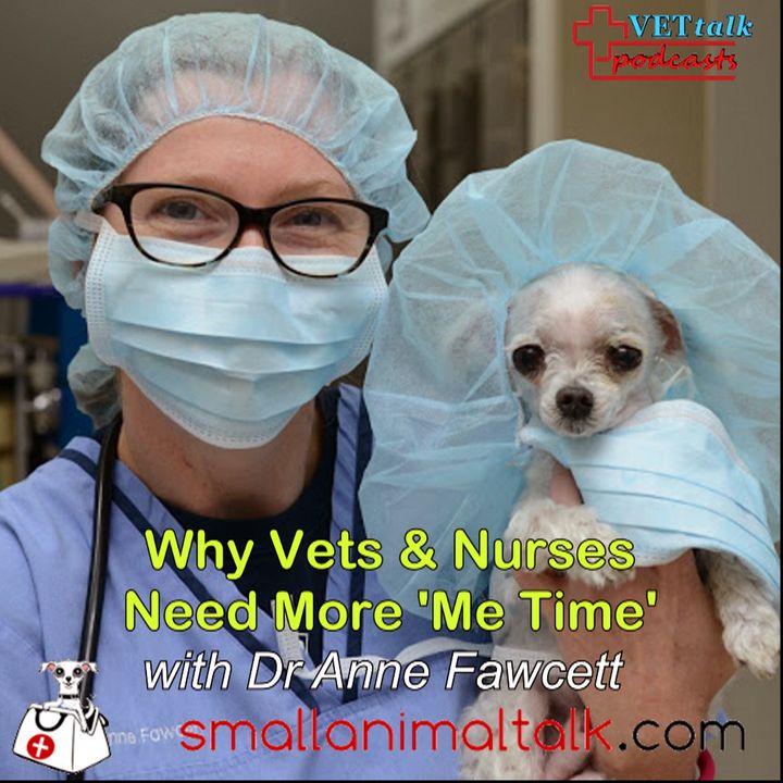 Why Vets & Nurses Need More 'Me Time' - Dr Anne Fawcett