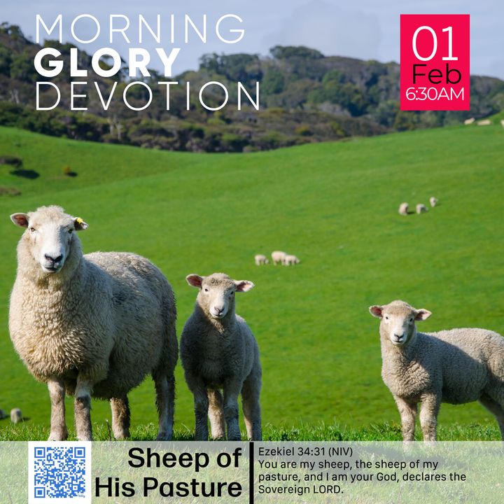 MGD: Sheep of His Pasture