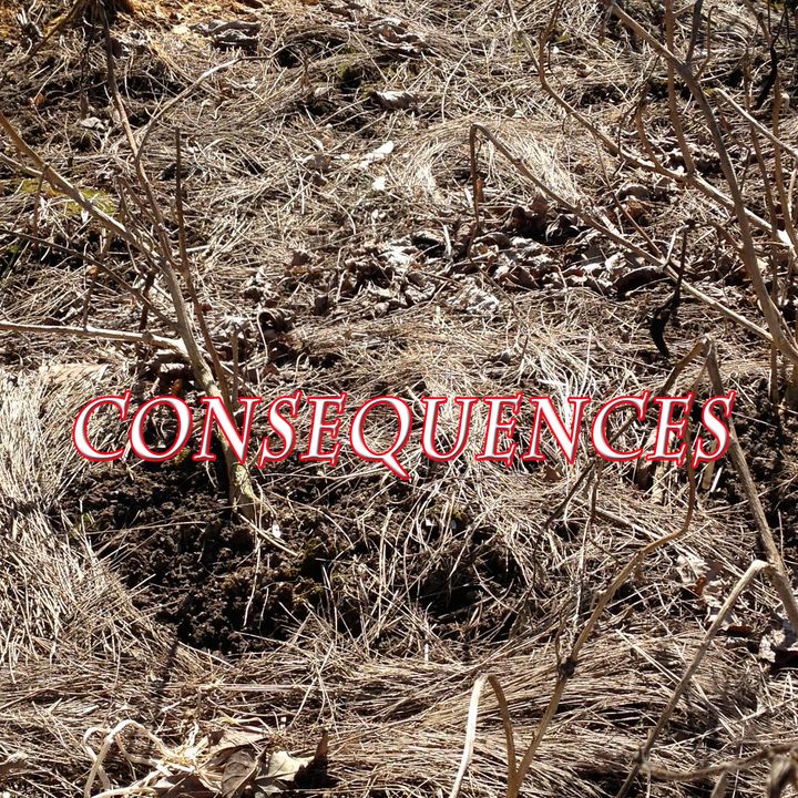 Consequences, Genesis 4:12-15