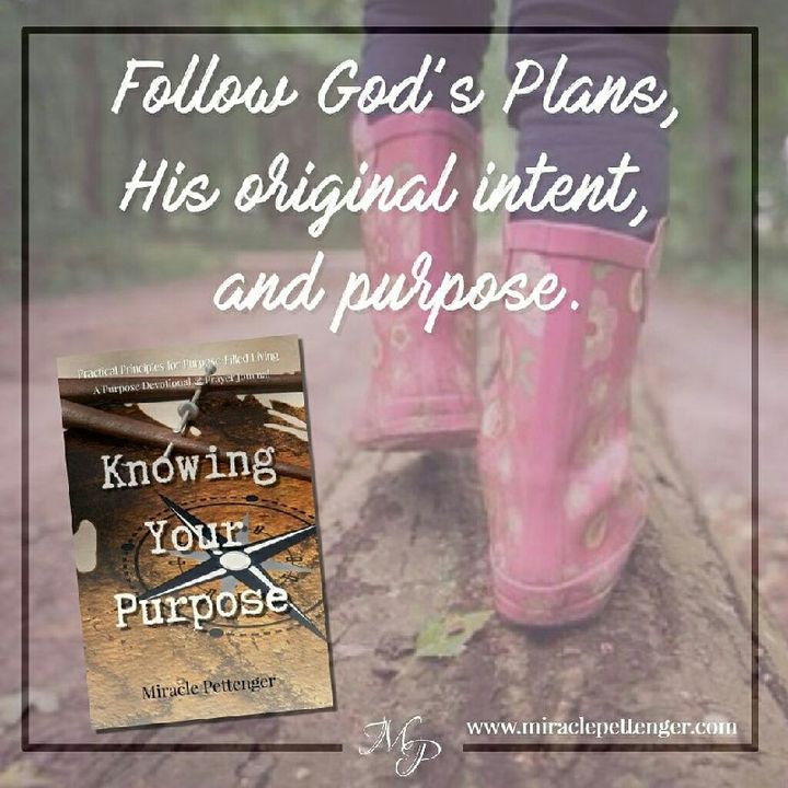 Follow God's Plans, Intent & Purpose