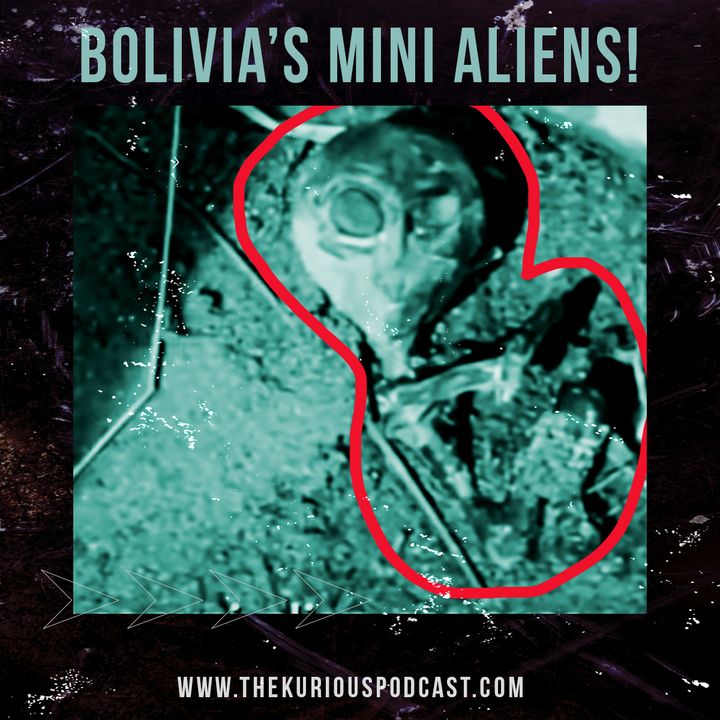 Dead "Mini-Alien" In Bolivia? This Real Extraterrestrial Mysteriously Disappears From Bolivia Before It Could Be Studied