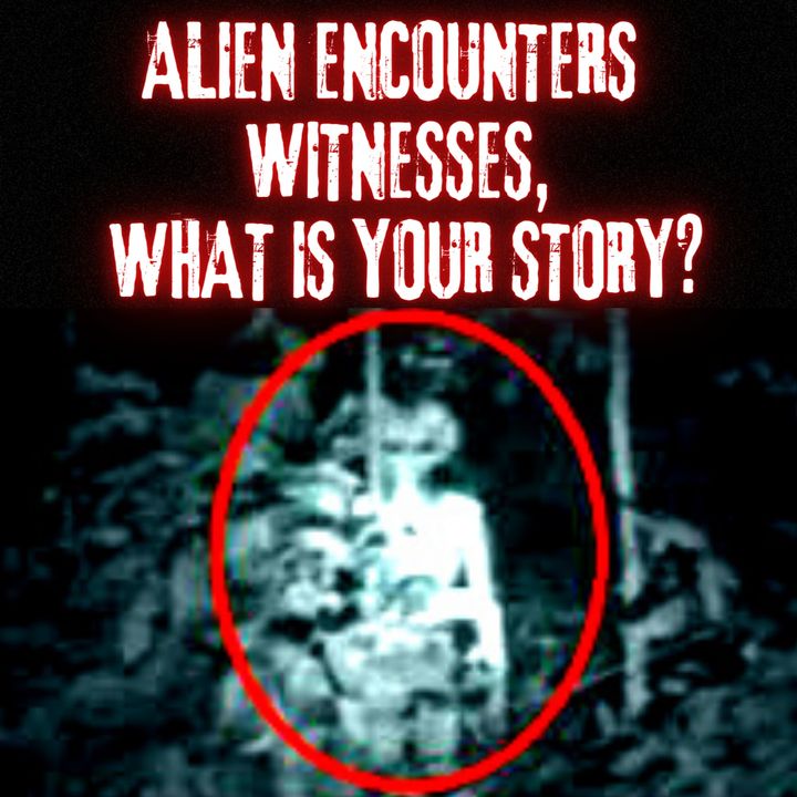 ALIEN Encounters Witnesses, What Is Your Story?