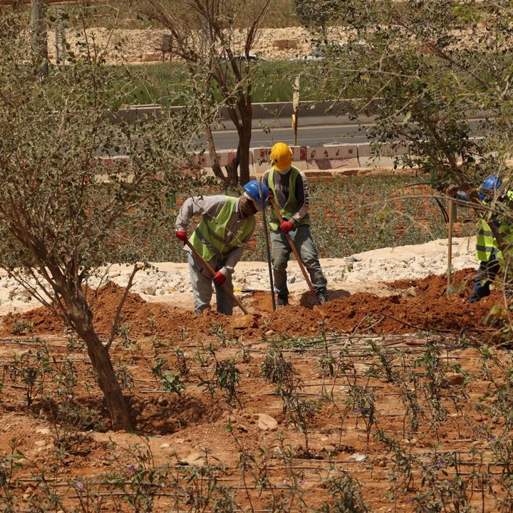 #ANBA 133 – O que os árabes estão fazendo pelo meio ambiente