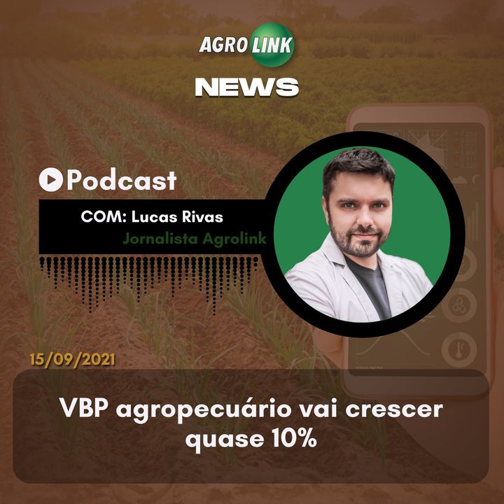 Podcast: pecuária paranaense tem trimeste de crescimento