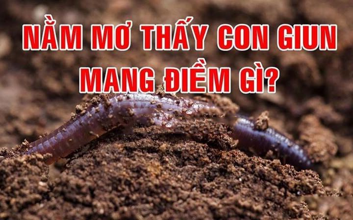 Mơ Thấy Con Giun: Giải Mã Giấc Mơ Mang Lại May Mắn và Cơ Hội Mới