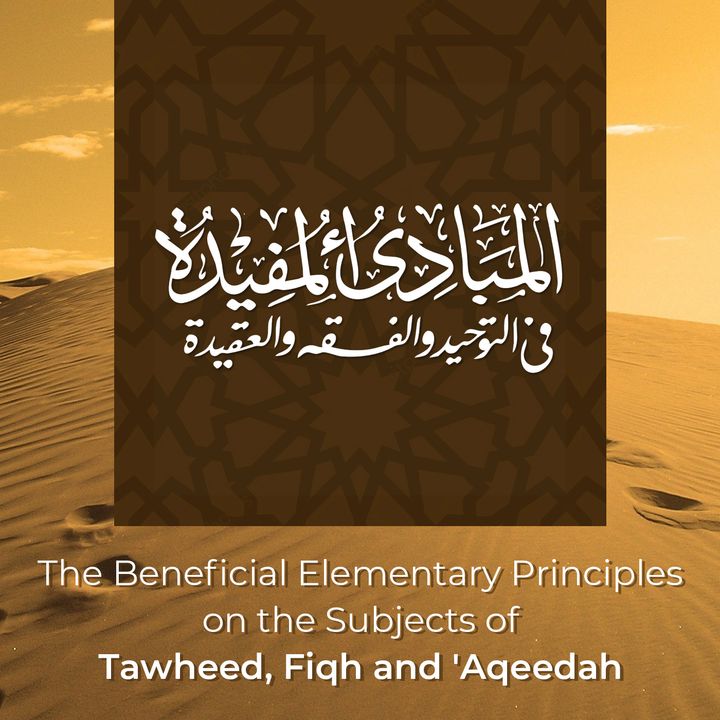 The Beneficial Elementary Principles