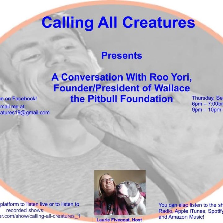 Calling All Creatures Presents A Conversation With Roo Yori