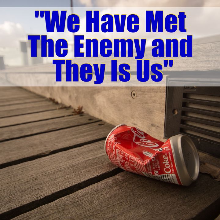 Mindset Quote: “We Have Met The Enemy and They is Us.”